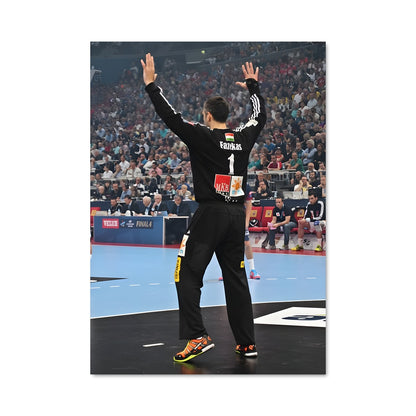 Poster Ehf champions league 73843