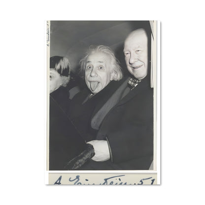 Poster Sourires d'Einstein