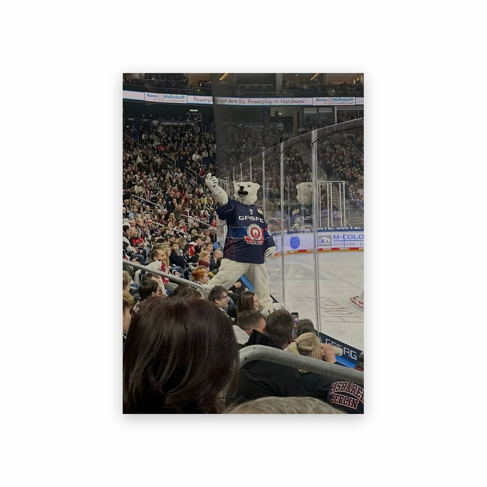 Poster La Fièvre du Hockey