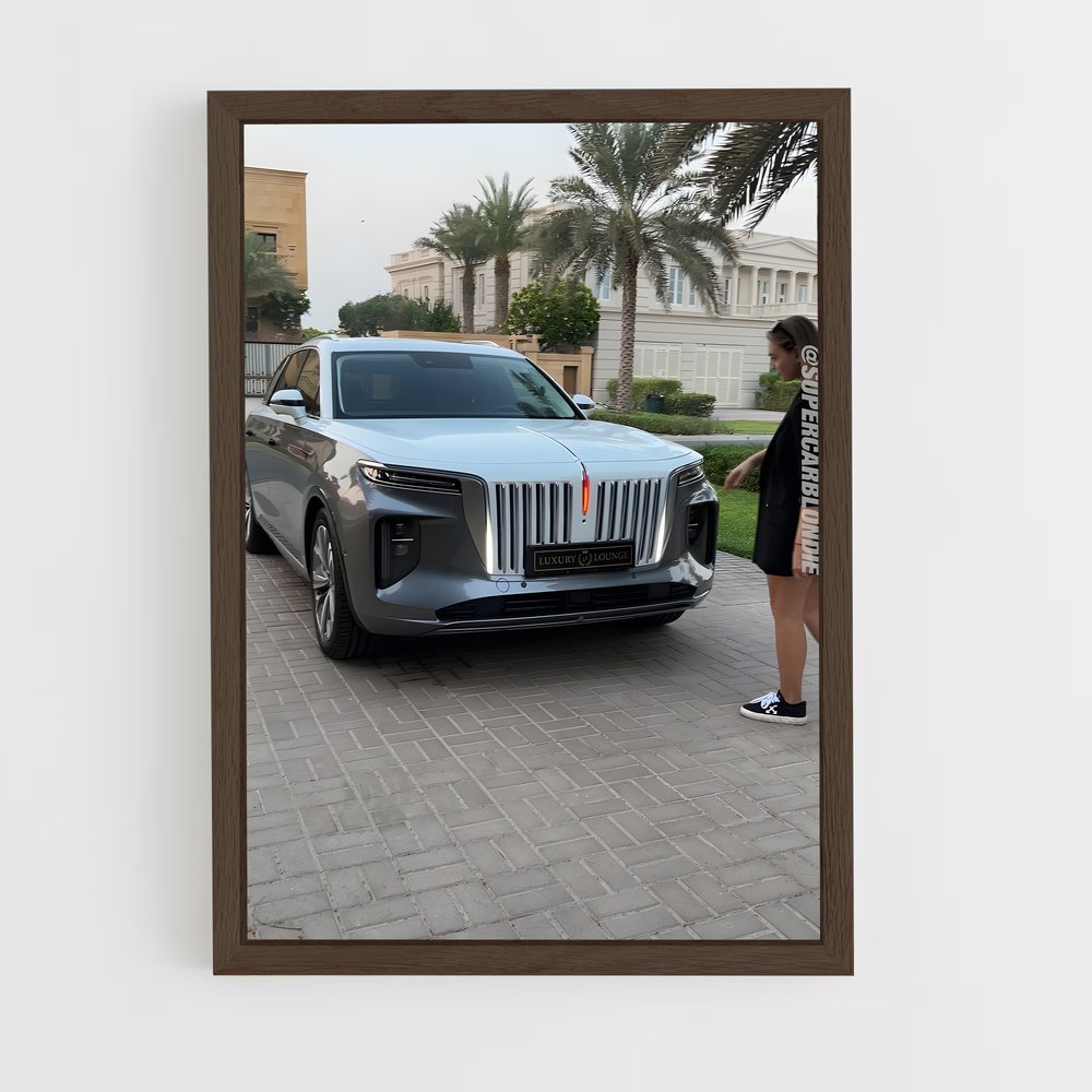 ap-electric cars-7 cadre Bois foncé