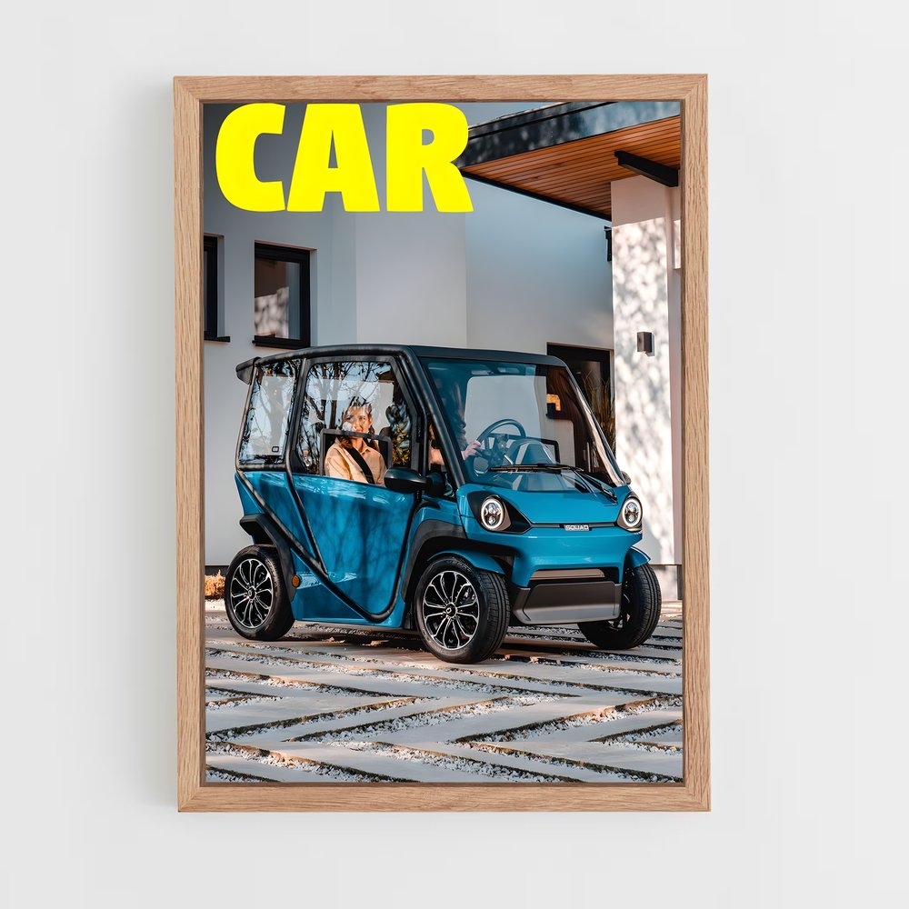 ap-electric cars-9 cadre Bois clair