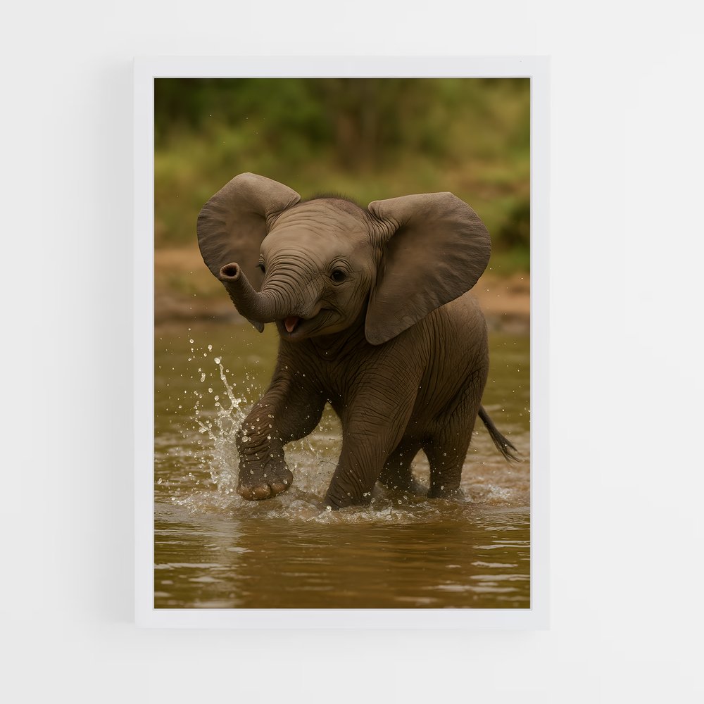 ap-elephant-1 cadre Blanc
