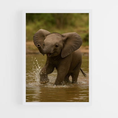 ap-elephant-1 cadre Blanc
