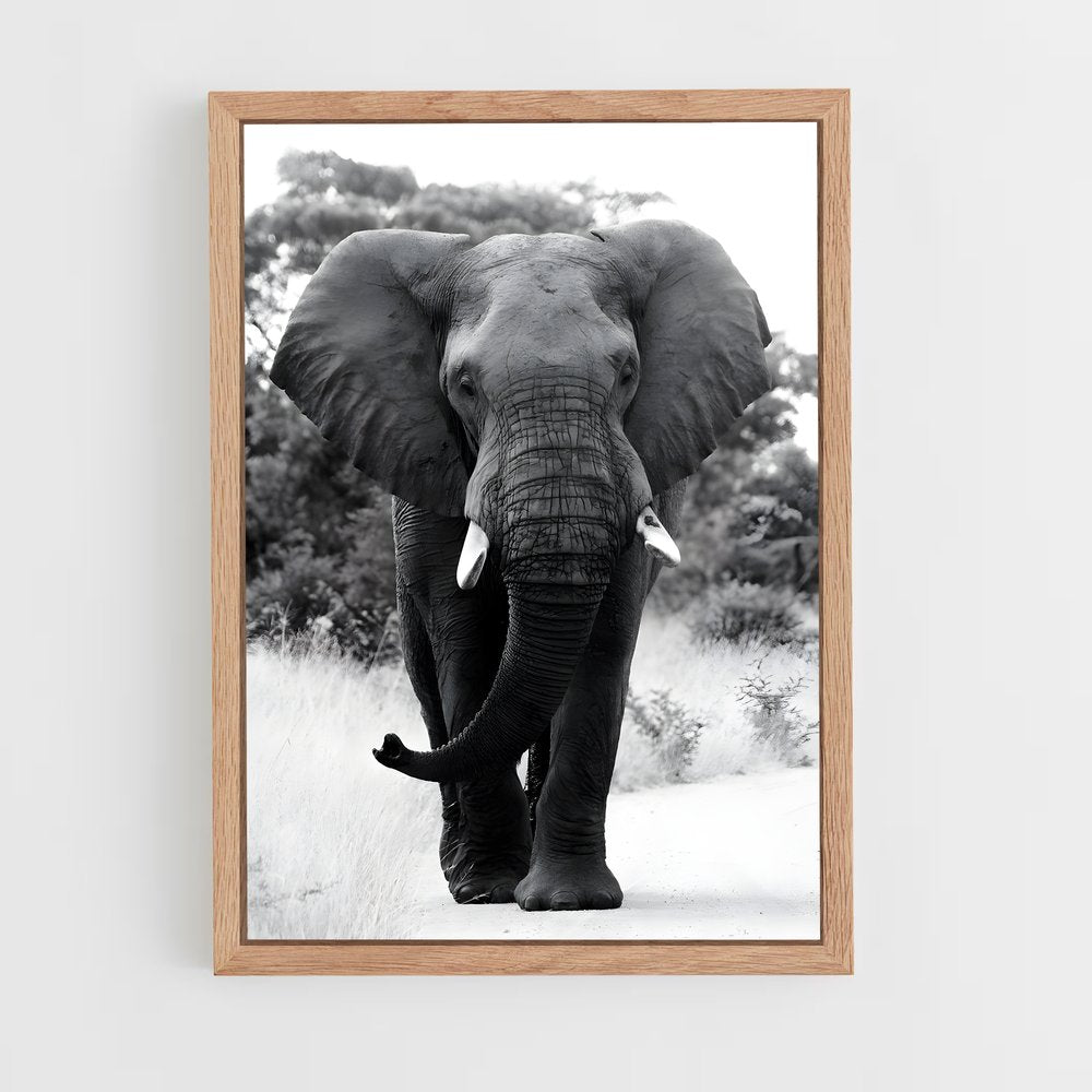 ap-elephant-10 cadre Bois clair