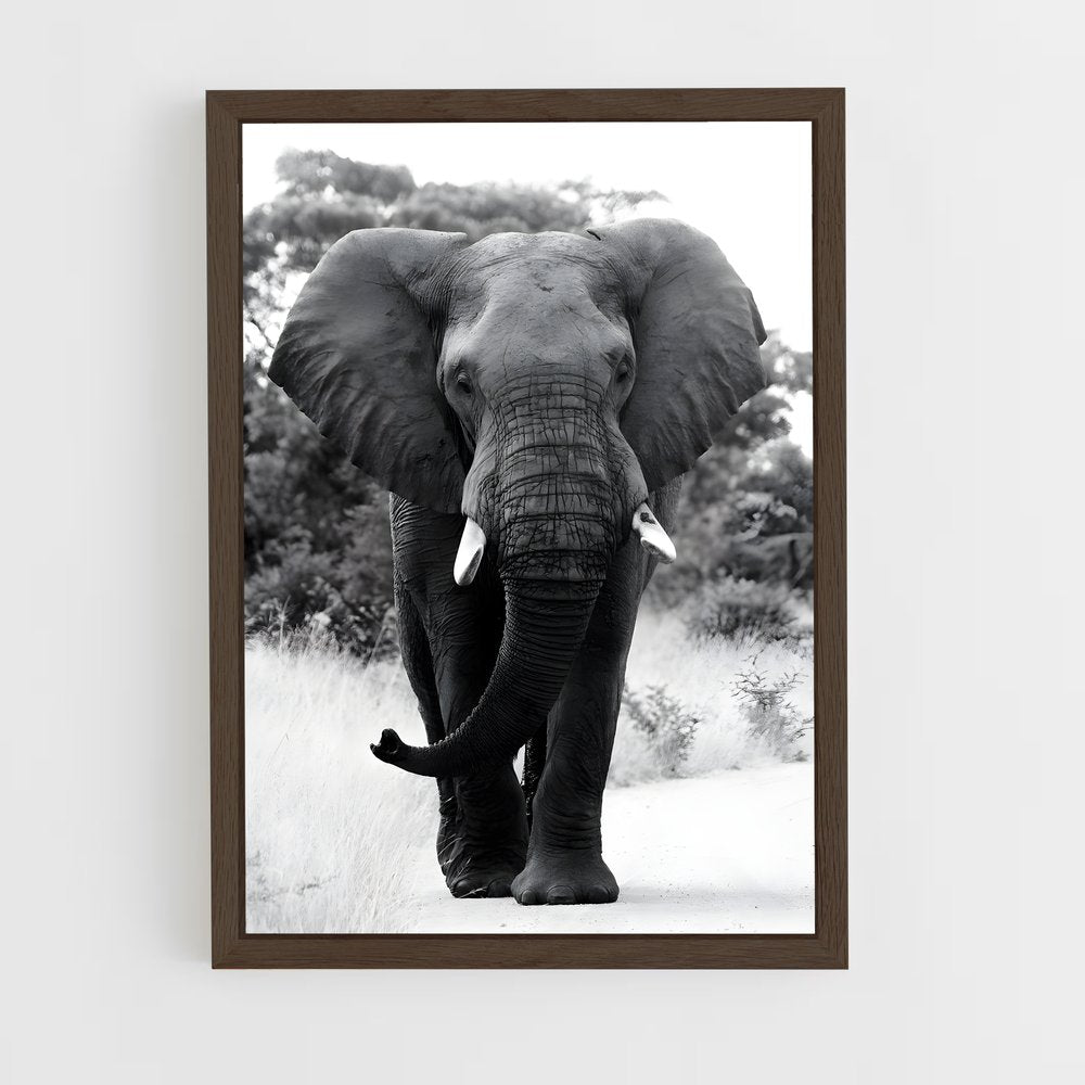 ap-elephant-10 cadre Bois foncé