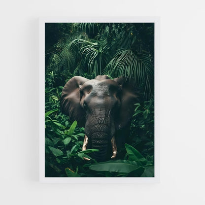 ap-elephant-11 cadre Blanc
