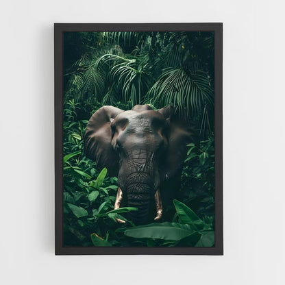 ap-elephant-11 cadre Noir