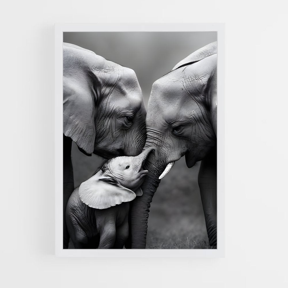 ap-elephant-15 cadre Blanc