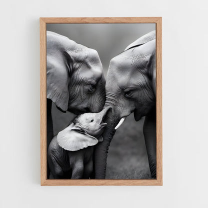 ap-elephant-15 cadre Bois clair