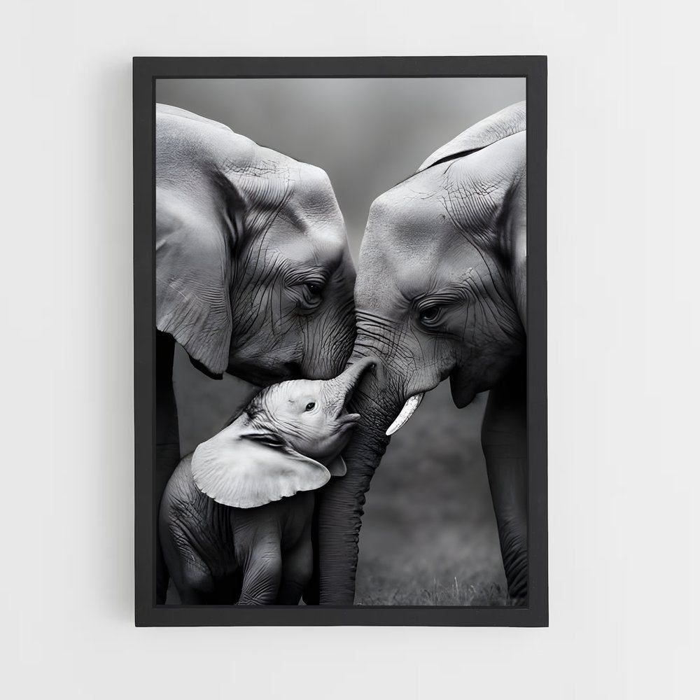 ap-elephant-15 cadre Noir