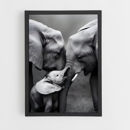 ap-elephant-15 cadre Noir