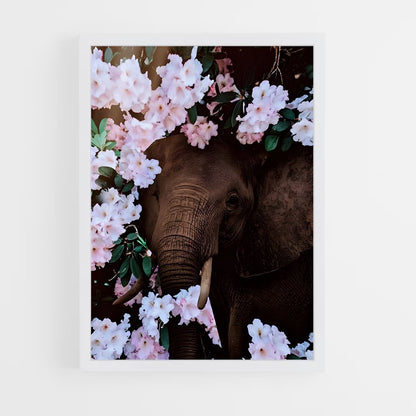 ap-elephant-16 cadre Blanc