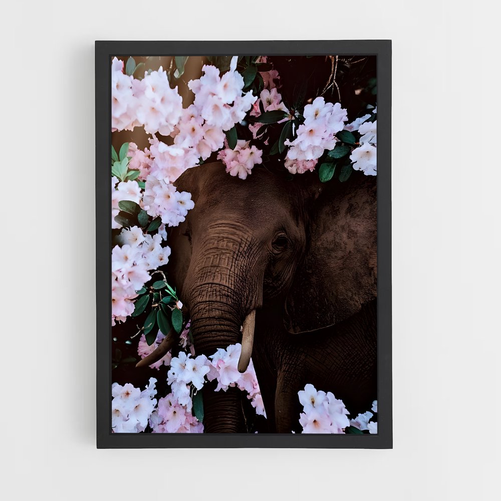 ap-elephant-16 cadre Noir