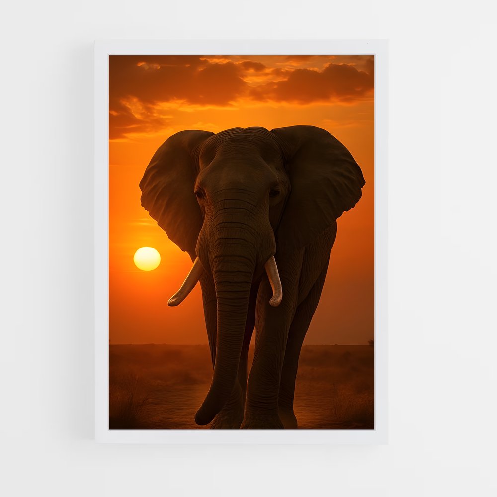 ap-elephant-2 cadre Blanc