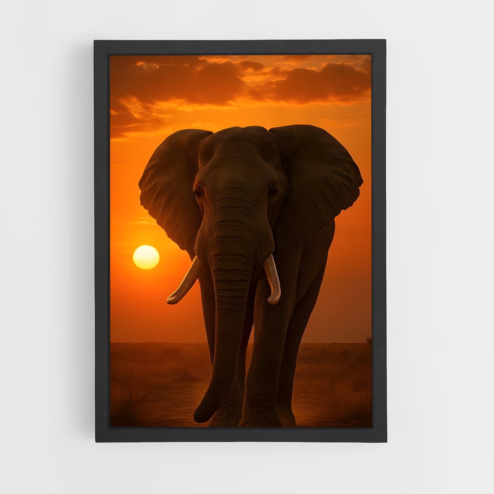 ap-elephant-2 cadre Noir
