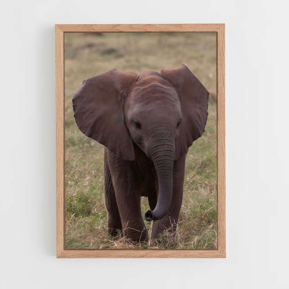 ap-elephant-3 cadre Bois clair