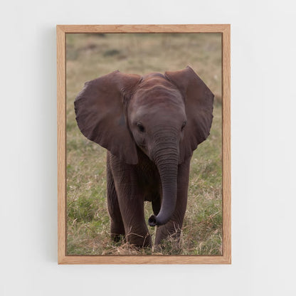 ap-elephant-3 cadre Bois clair