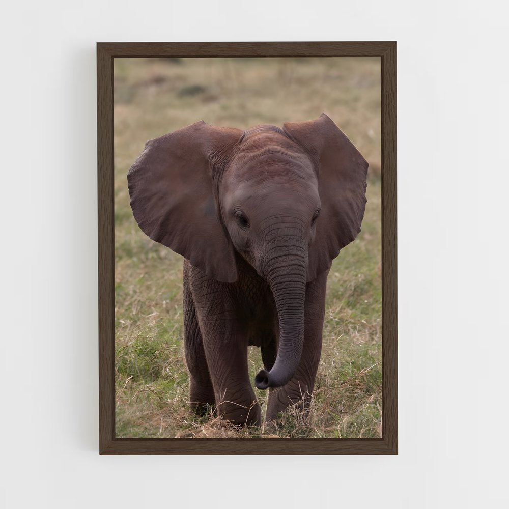 ap-elephant-3 cadre Bois foncé