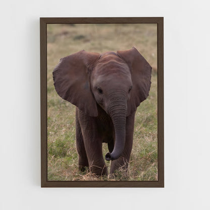 ap-elephant-3 cadre Bois foncé
