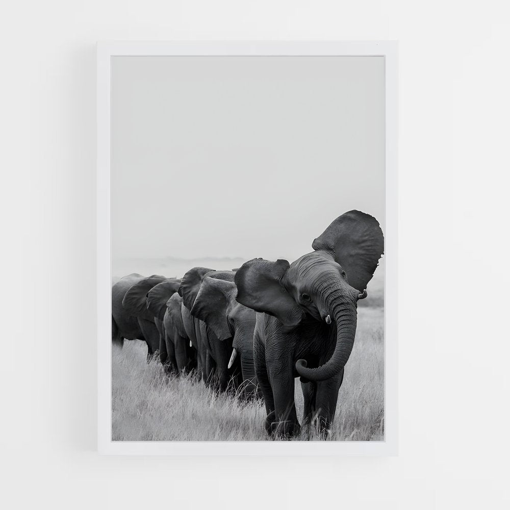 ap-elephant-9 cadre Blanc
