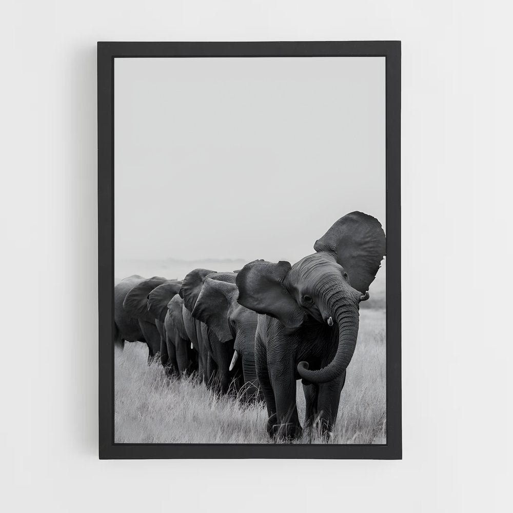 ap-elephant-9 cadre Noir