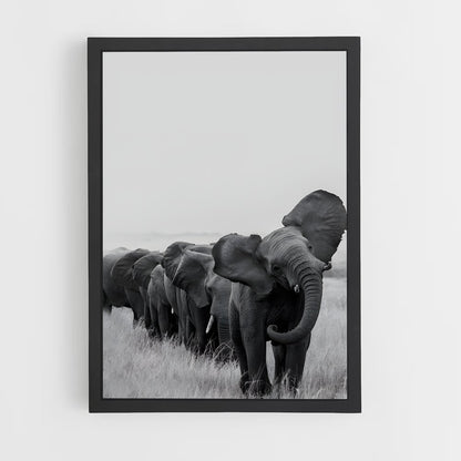 ap-elephant-9 cadre Noir