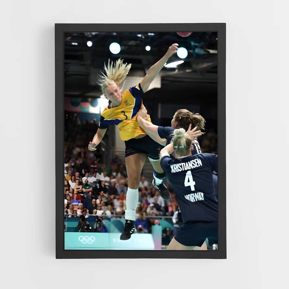ap-elverum handball norway-2 cadre Noir