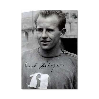 Poster Sourire d'Emil