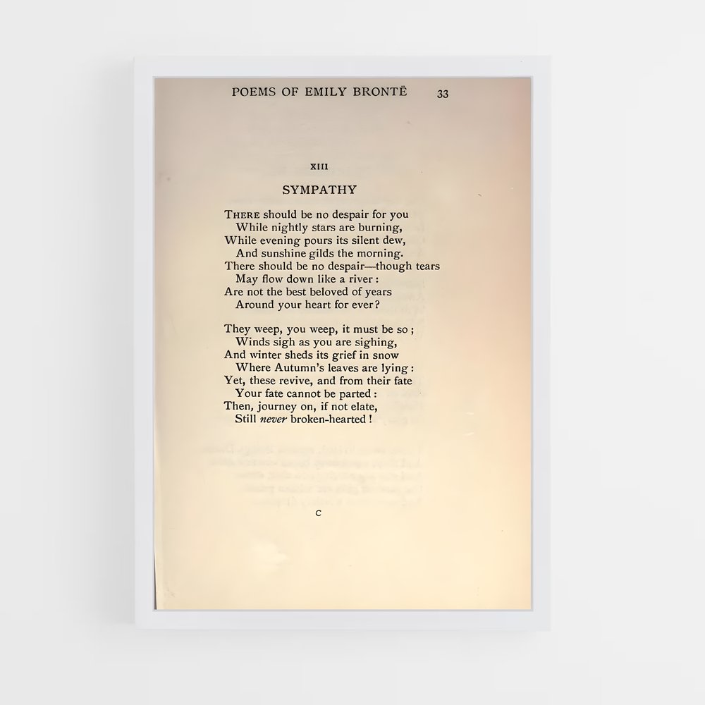 ap-emily bronte-2 cadre Blanc