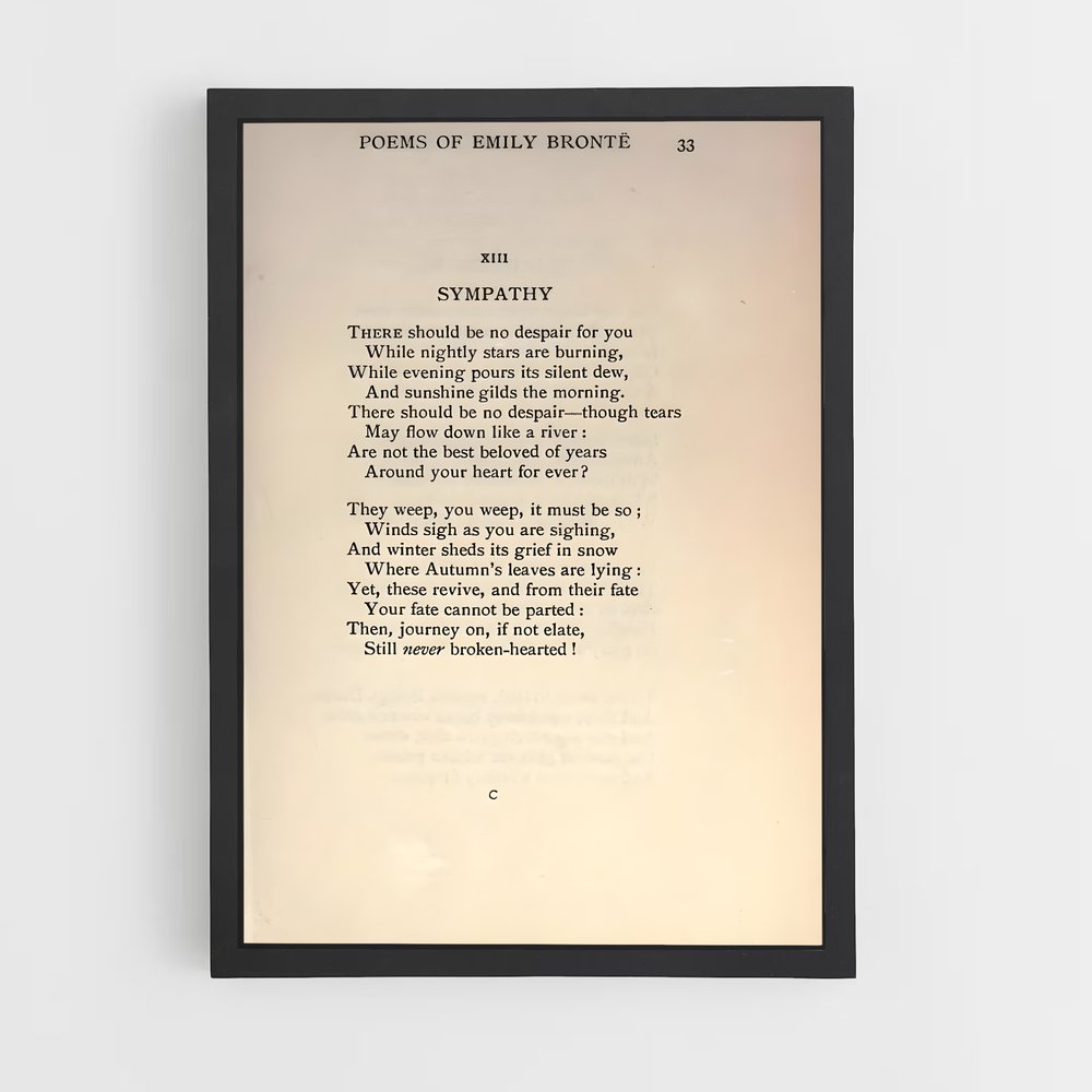 ap-emily bronte-2 cadre Noir