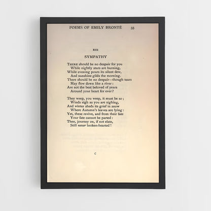 ap-emily bronte-2 cadre Noir