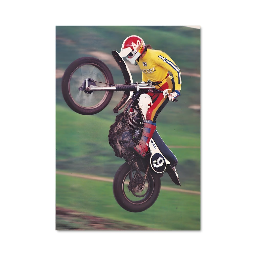 Poster L'Aventurier des Routes
