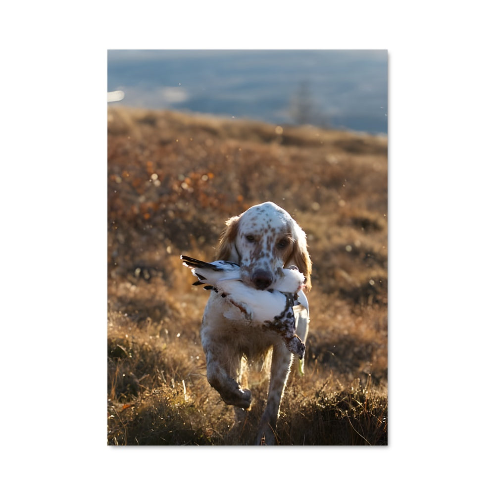 Poster Chasse Épique