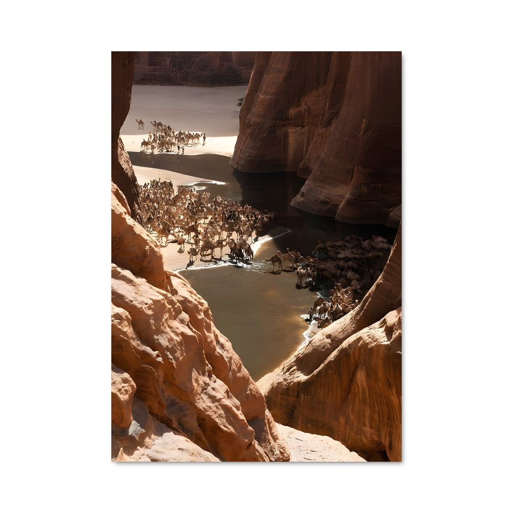 Poster Traversée du Wadi