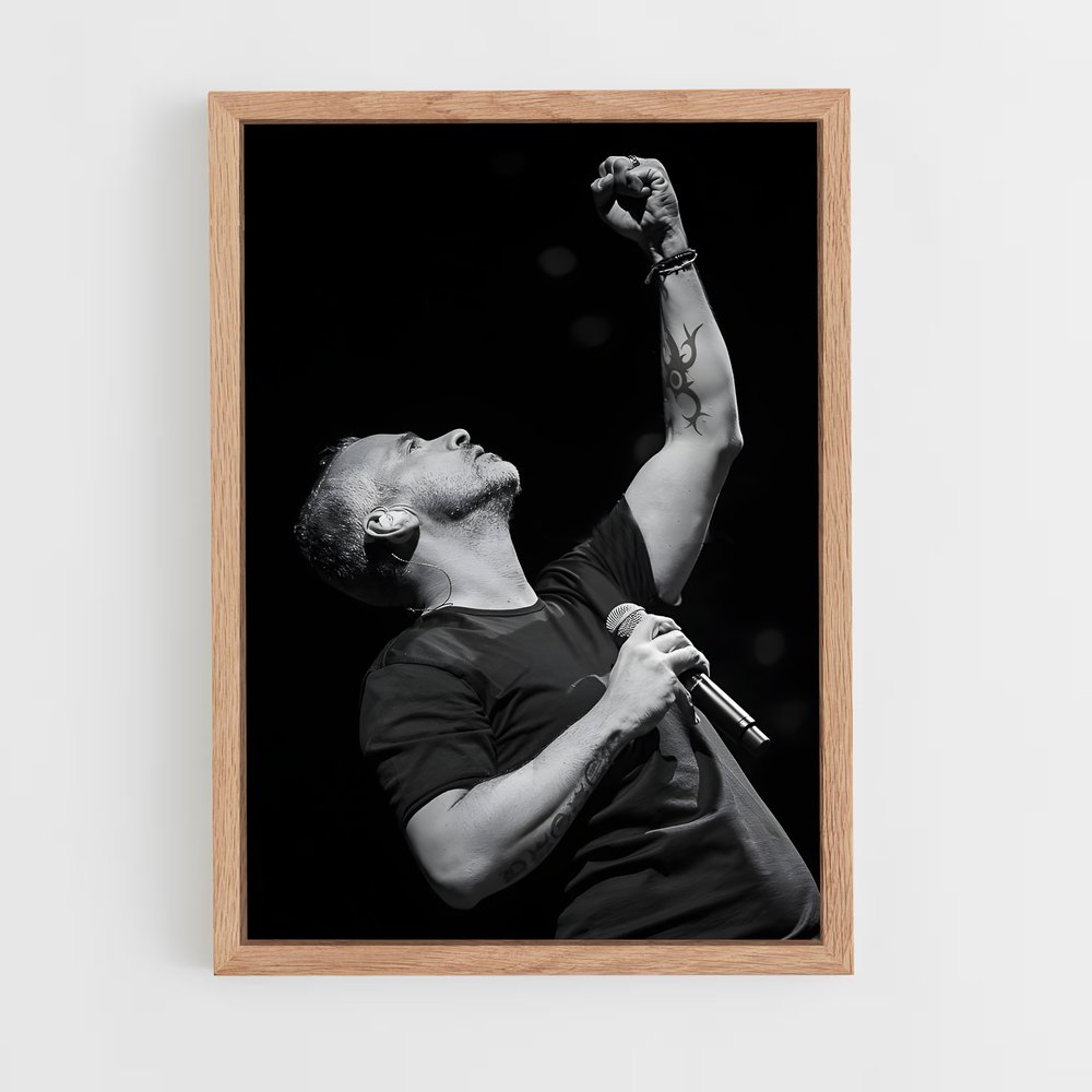 ap-eros ramazzotti-3 cadre Bois clair