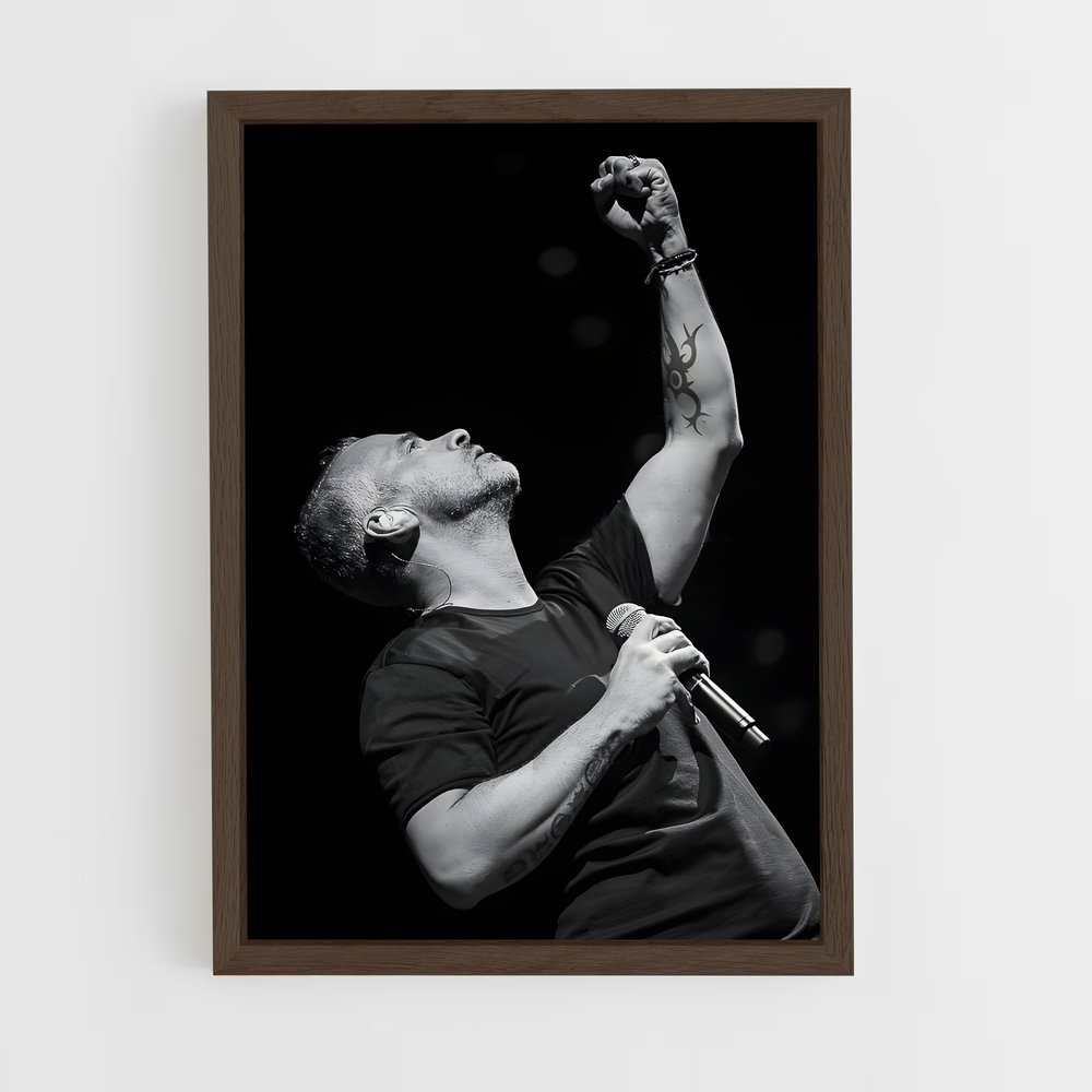 ap-eros ramazzotti-3 cadre Bois foncé