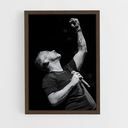 ap-eros ramazzotti-3 cadre Bois foncé