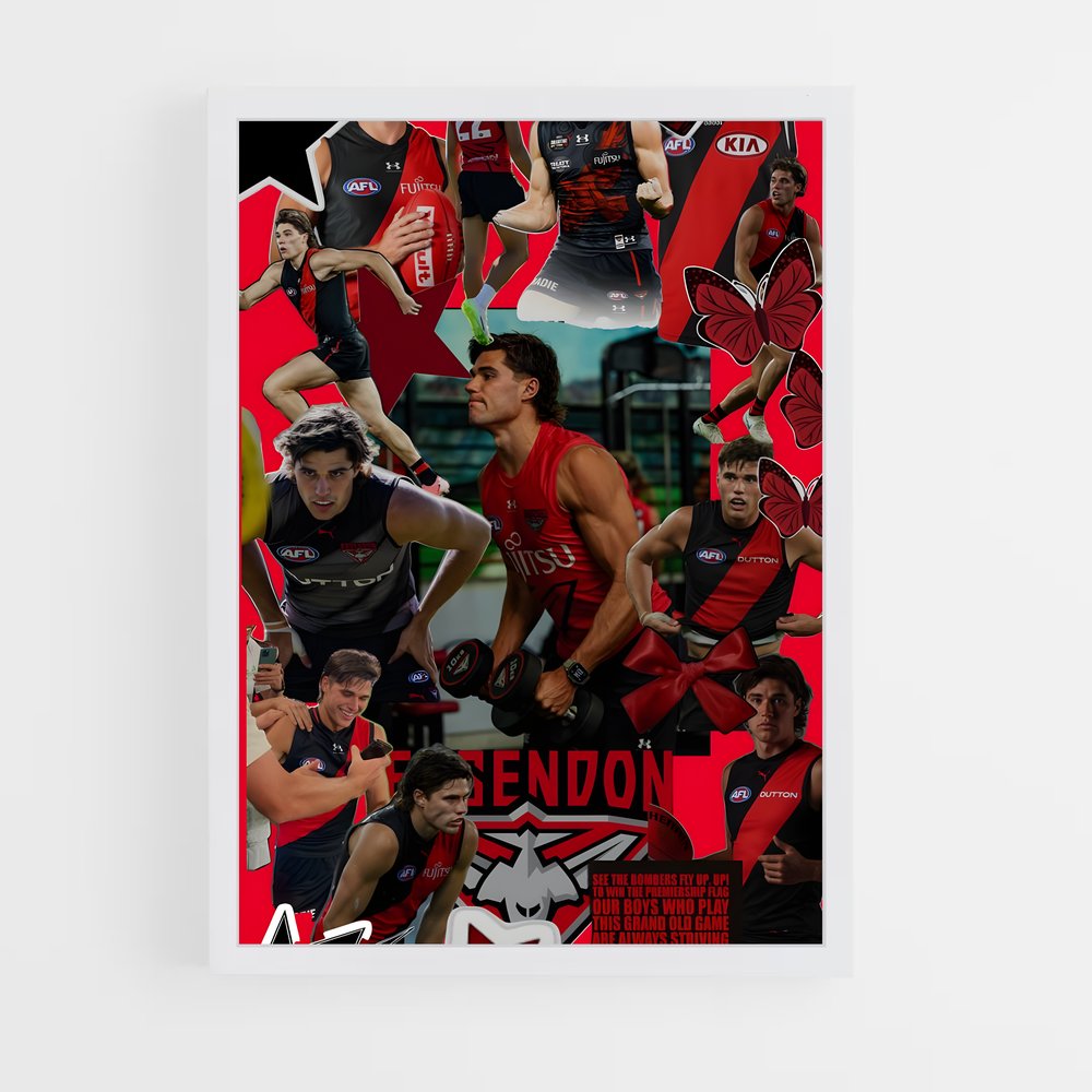 ap-essendon bombers-3 cadre Blanc