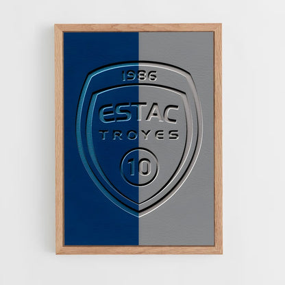ap-estac troyes-3 cadre Bois clair