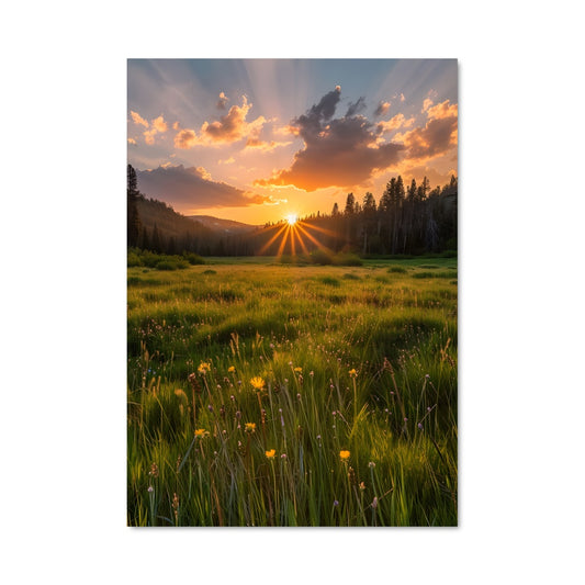 Poster Evening glow 97872