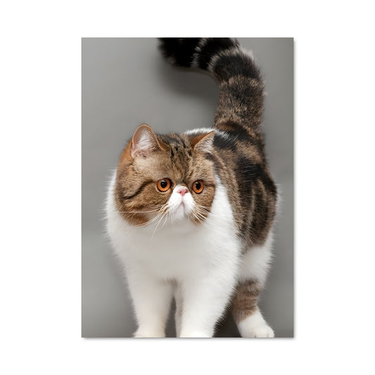 Poster La Queue Élégante