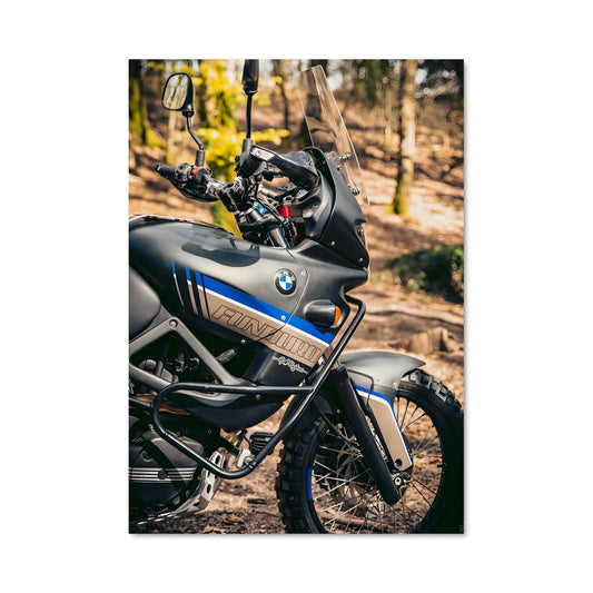 Poster F 650 gs 81929