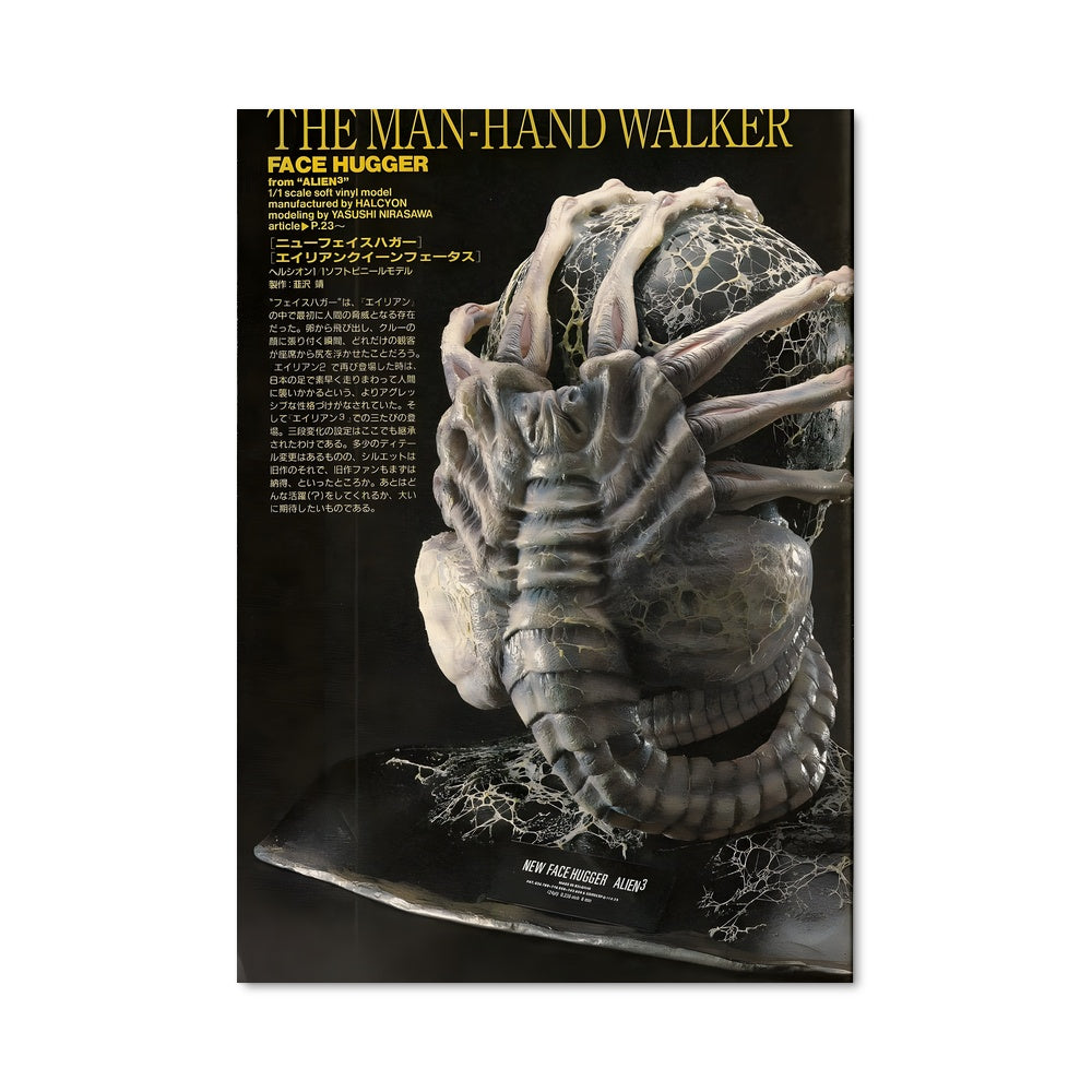 Poster La Créature Étrange