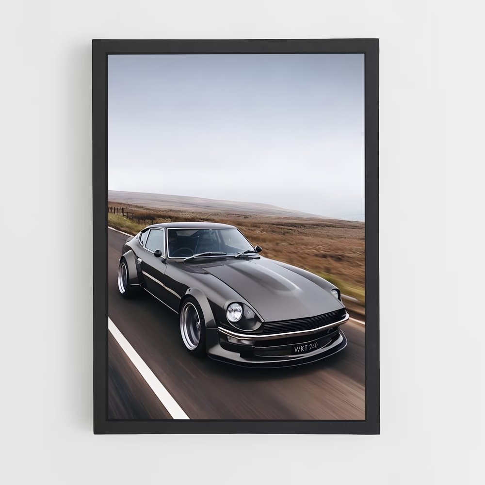 ap-fairladyz-1 cadre Noir