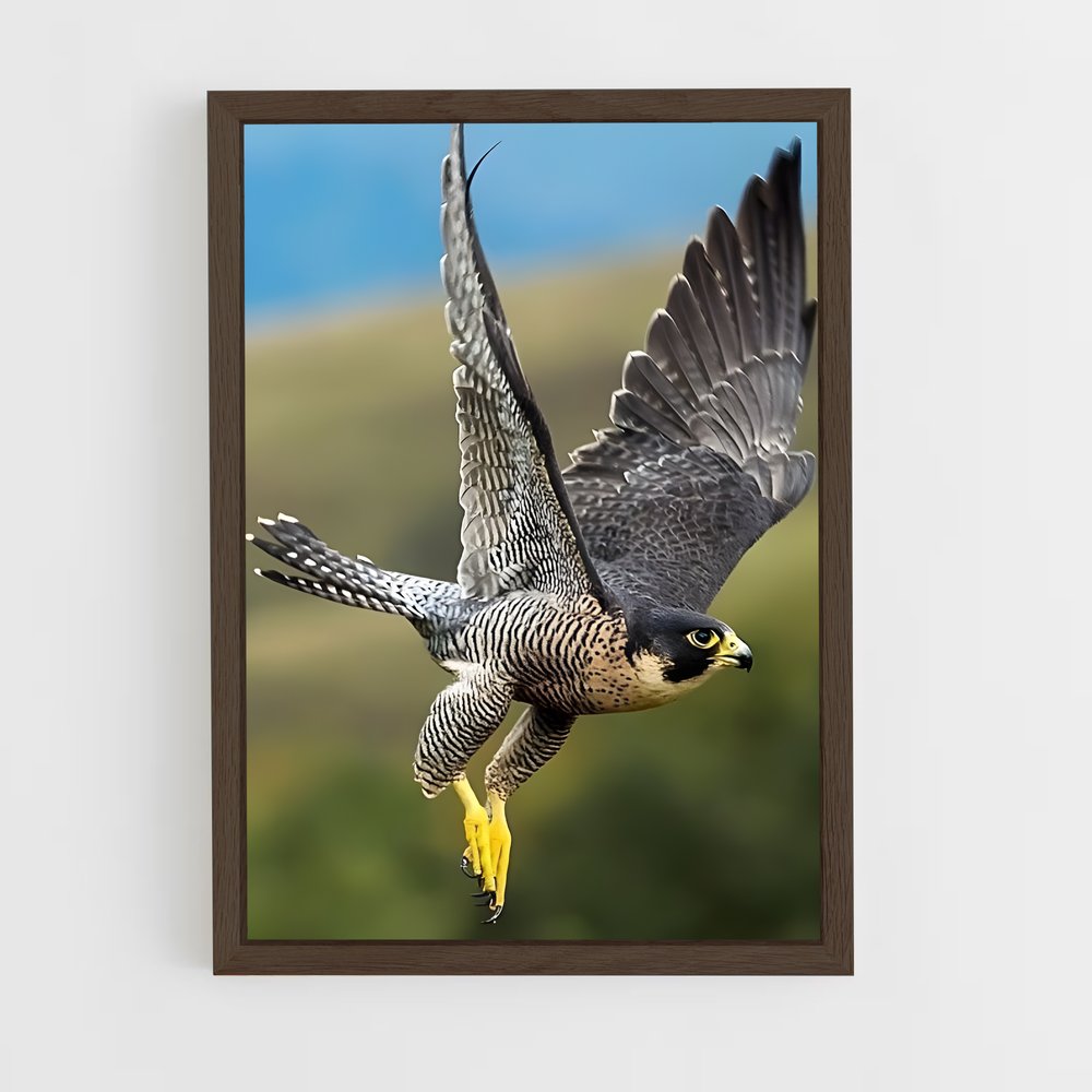 ap-falcon-11 cadre Bois foncé