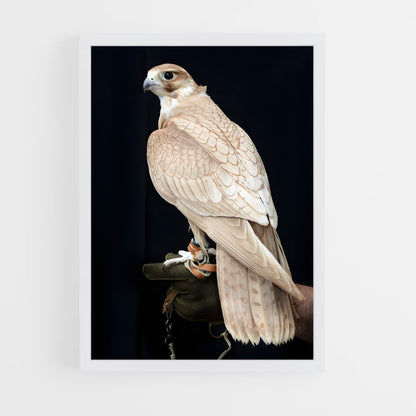ap-falcon-13 cadre Blanc