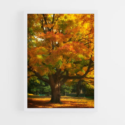 ap-fall colors-10 cadre Blanc