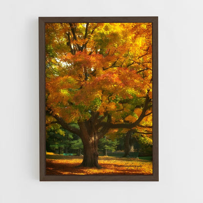 ap-fall colors-10 cadre Bois foncé