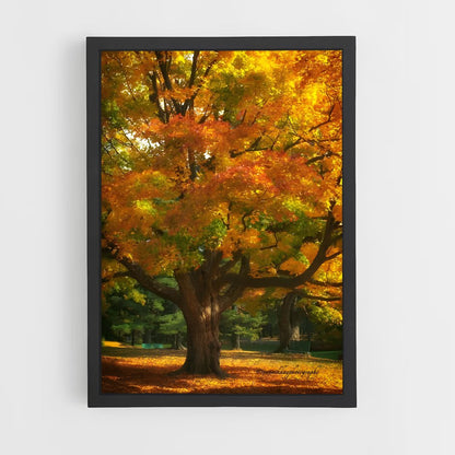ap-fall colors-10 cadre Noir