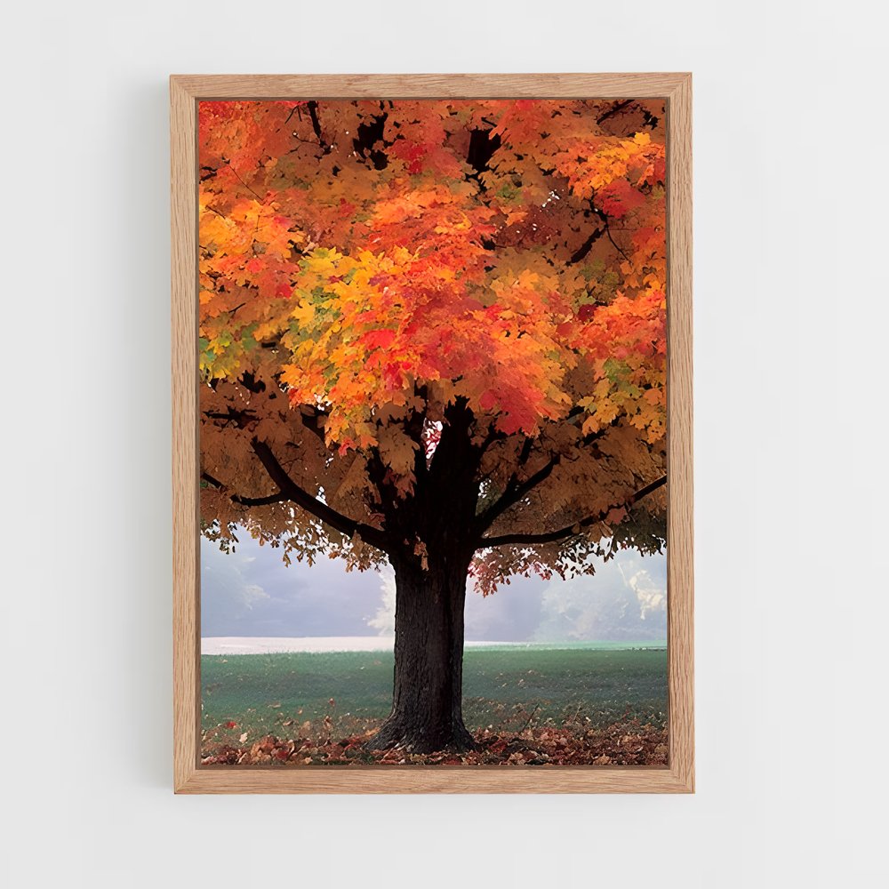 ap-fall colors-3 cadre Bois clair